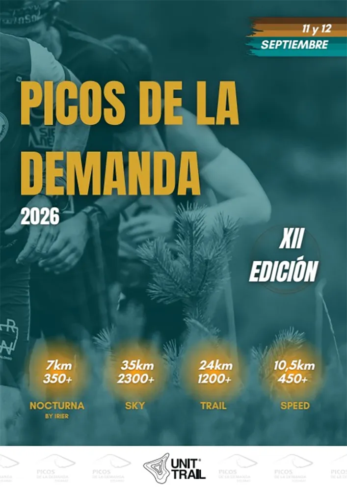 Picos de la Demanda 2026